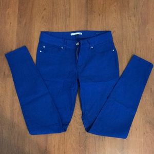 YMI | royal blue jegging